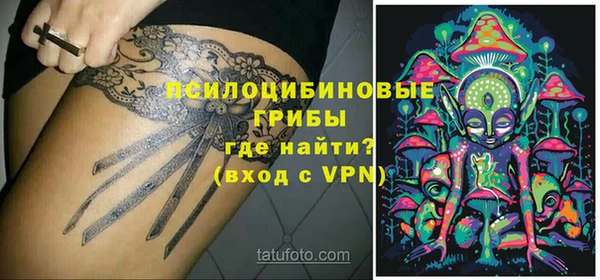 бошки Абинск