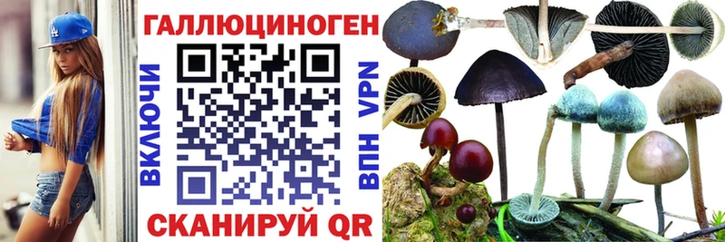 Галлюциногенные грибы Psilocybine cubensis  Ряжск 